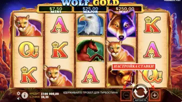 Кнопки для изменения ставки Настройка ставки в слоте Wolf Gold
